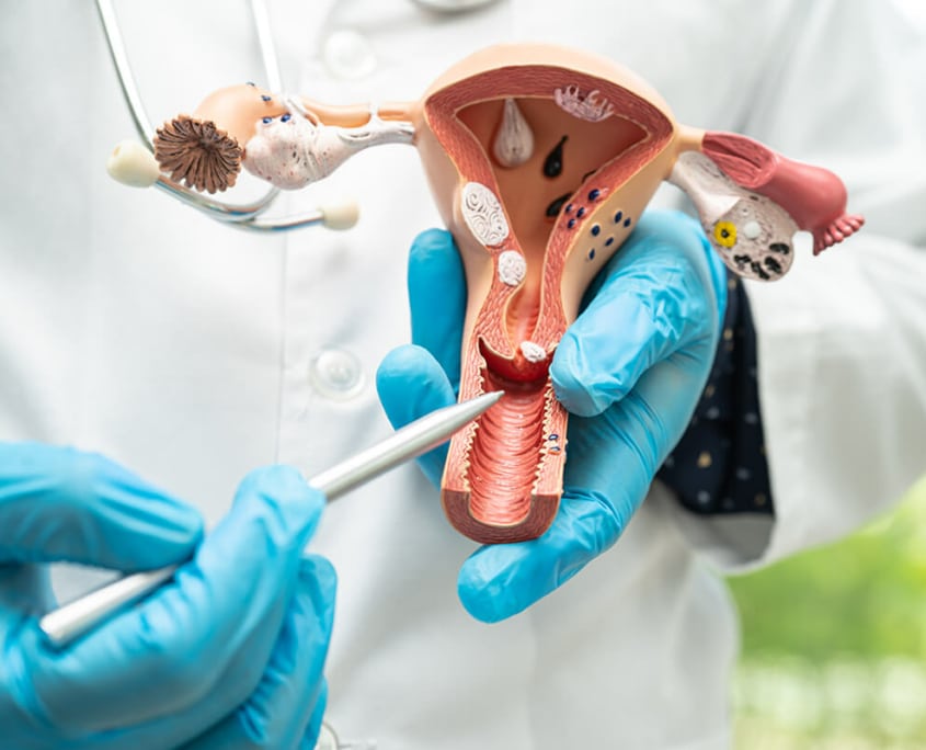 saturn-pelvic-health-about-product